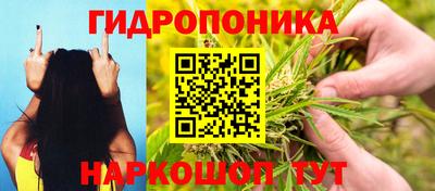 хмурый Конаково