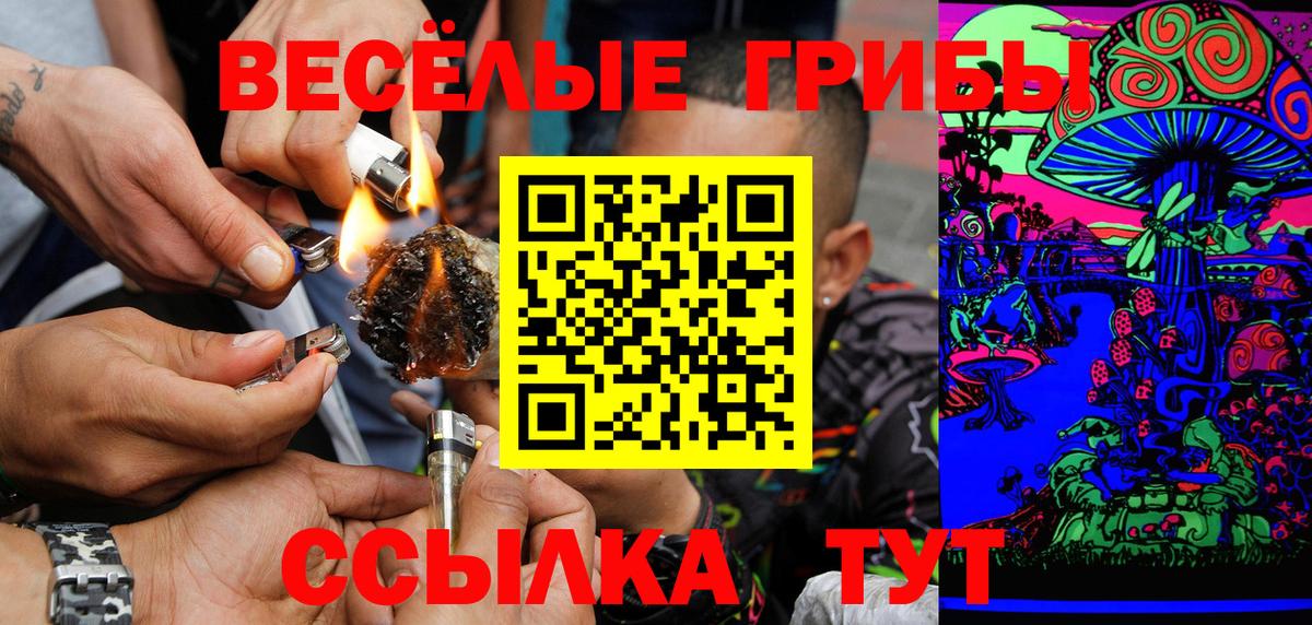 Каспийск  Галлюциногенные грибы прущие грибы  Вход с VPN  Галлюциногенные грибы GOLDEN TEACHER 