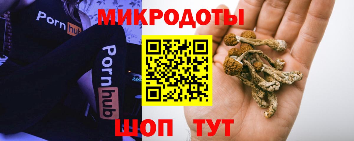 Псилоцибиновые грибы Magic Shrooms Каспийск